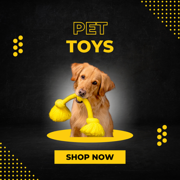 Pet Products