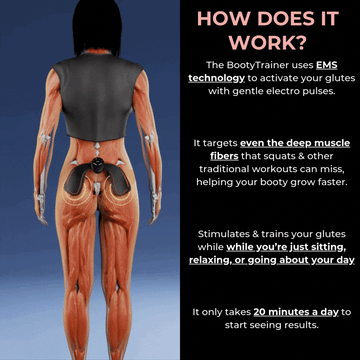 Zorvera - BootyTrainer